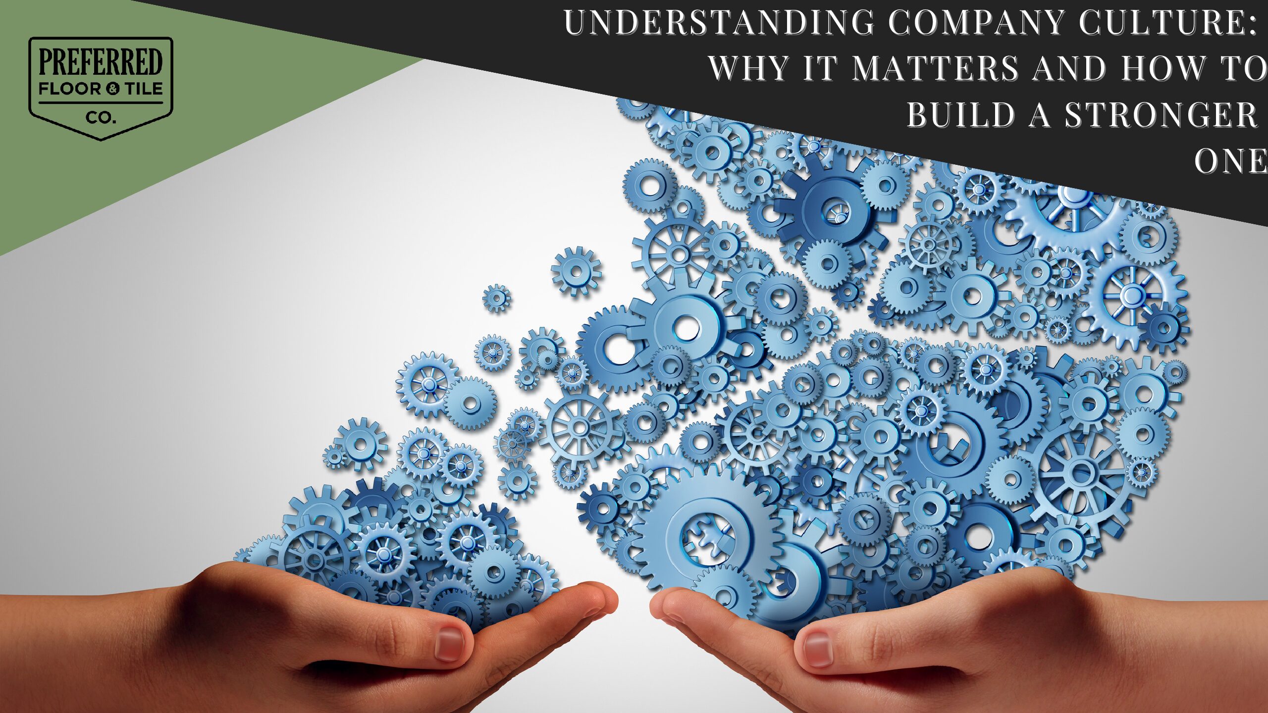 Understanding Company Culture: Why it Matters and How to Build a Stronger One